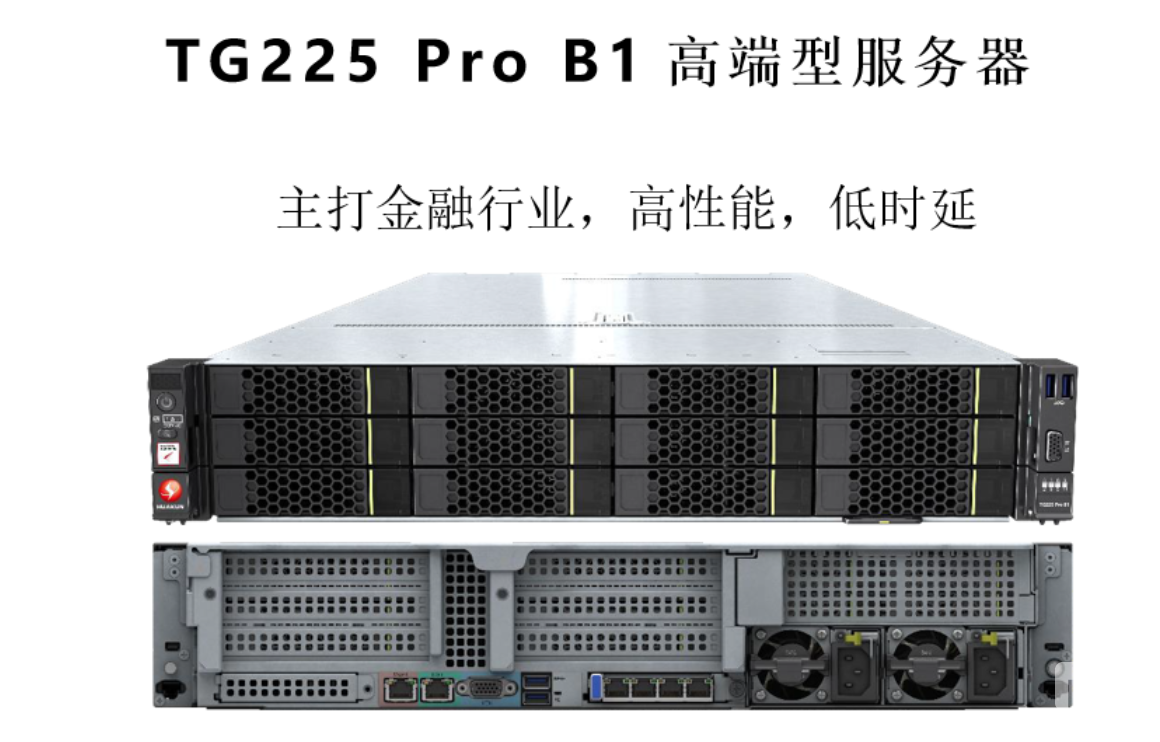 TG225 Pro	B1 高端型服務(wù)器